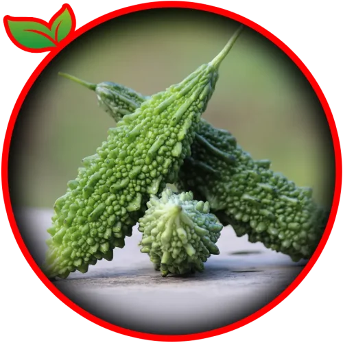 Bitter Gourd