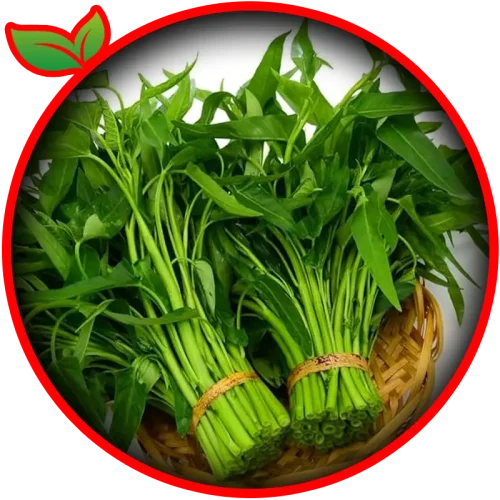 Water Spinach (Kolmi Shak)