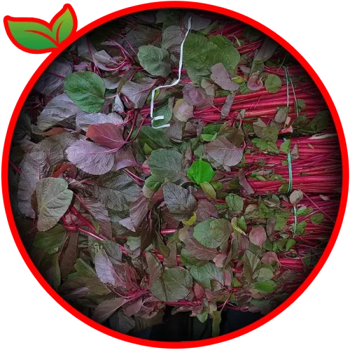 Red Spinach