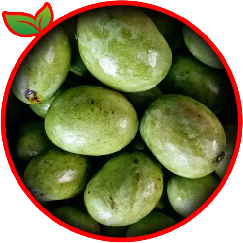 Green Mango