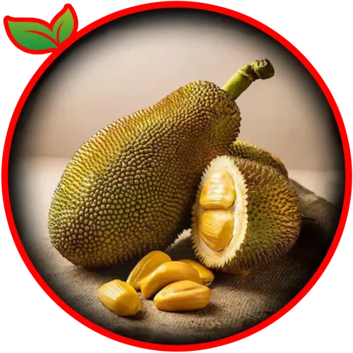 Jackfruit