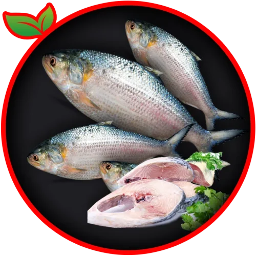 ilish Fish (mm)
