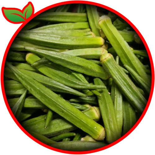 Okra